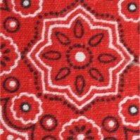 Red Bandana
